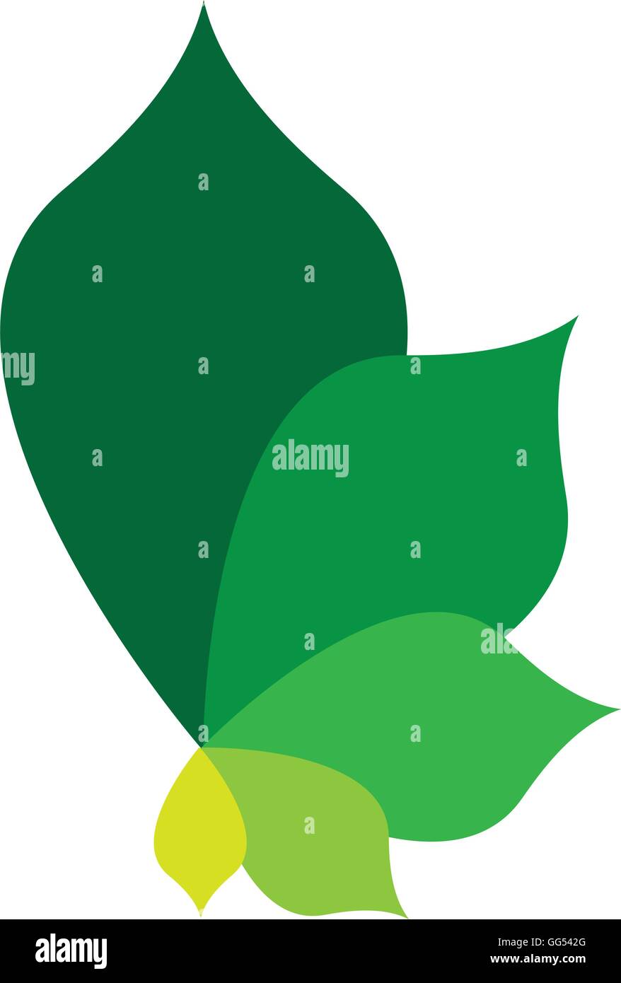 leafs floral nature icon Stock Vector Image & Art - Alamy