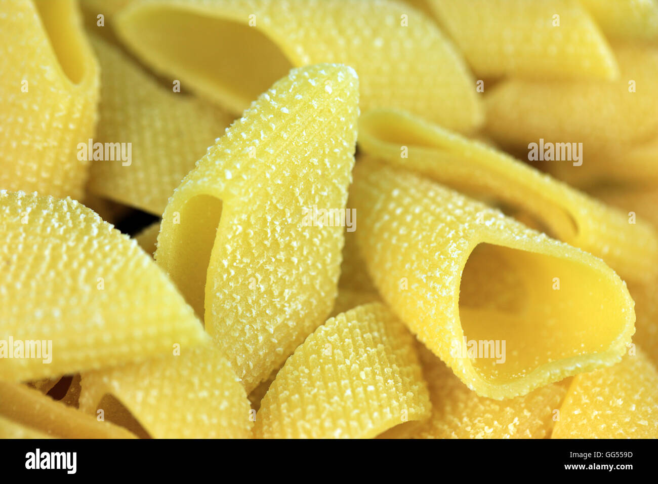 Pennoni fresh egg pasta which is a wider version of penne pasta Stock Photo