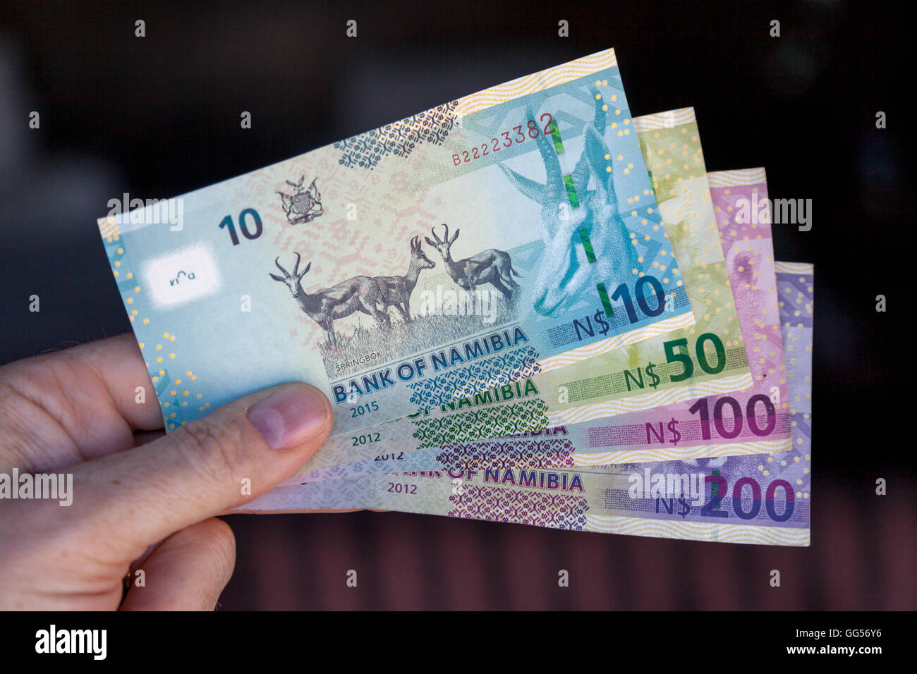 Namibia Namibian Dollar Currency N 10 Bill Depicting Springboks Stock Namibia Namibian Dollar Currency N 10 Bill Depicting Springboks Stock