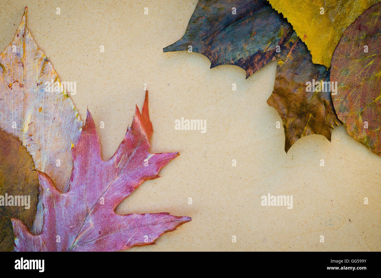 Gold painted leaves hi-res stock photography and images - Alamy