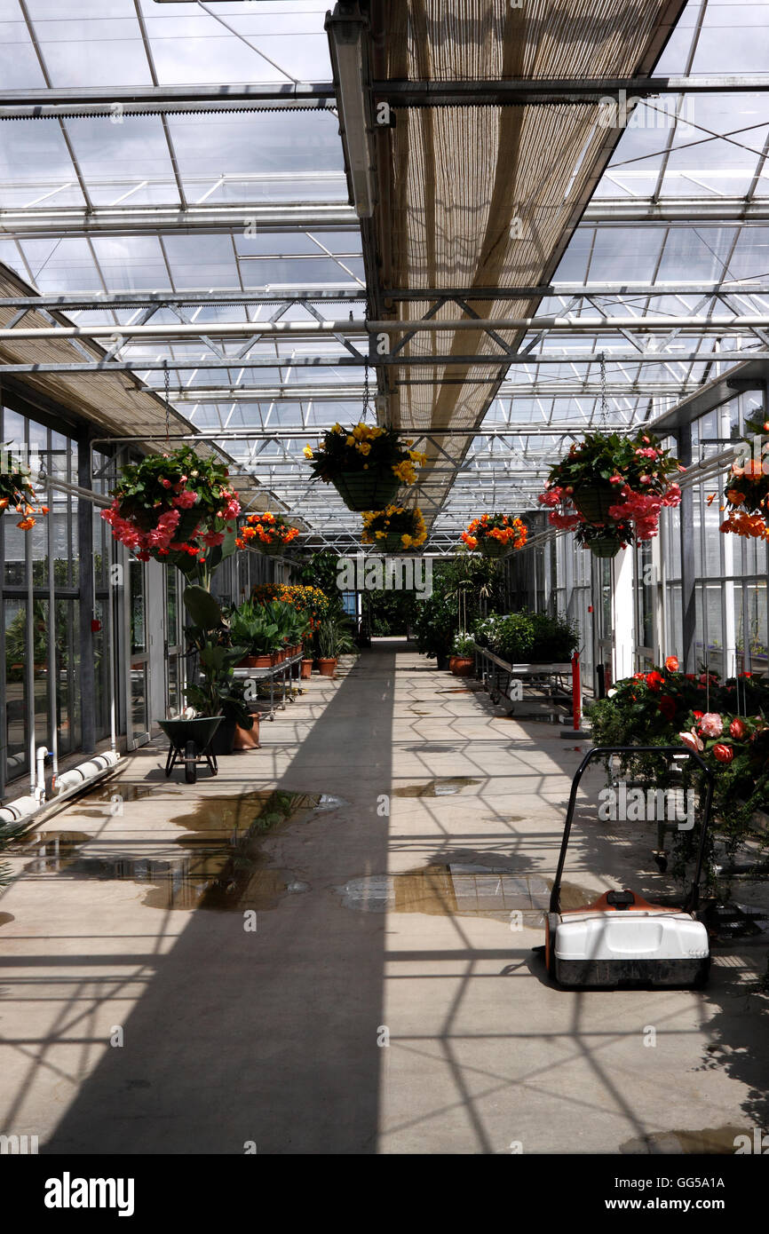 A LARGE HEATED GREENHOUSE AT RHS WISLEY UK. Stock Photo