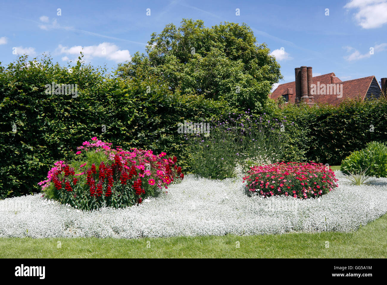 SUMMER BEDDING AT RHS WISLEY Stock Photo Alamy
