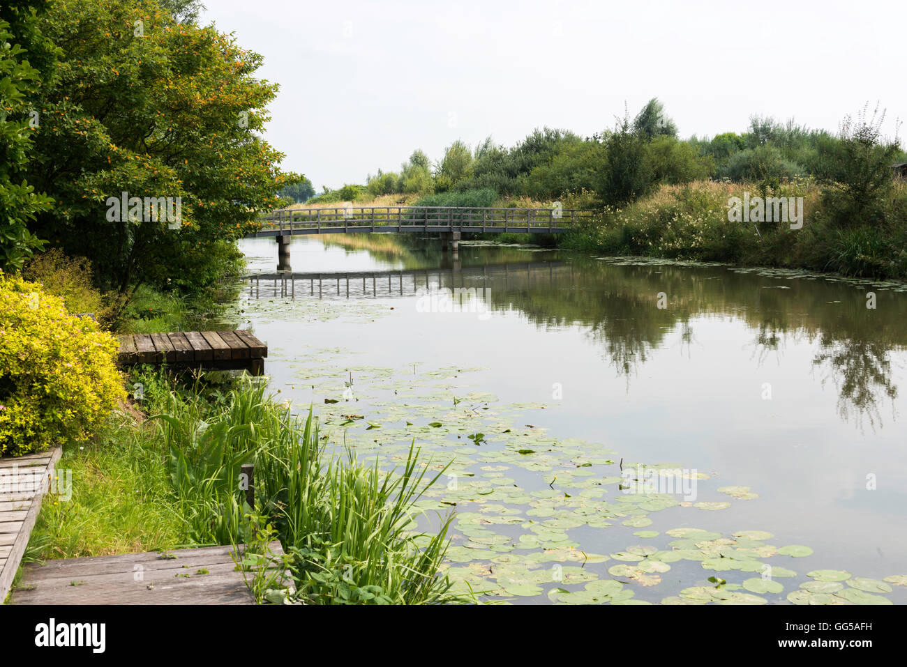 garden with view on wooden bridge over small river with green plants and trees at the side of the water Stock Photo