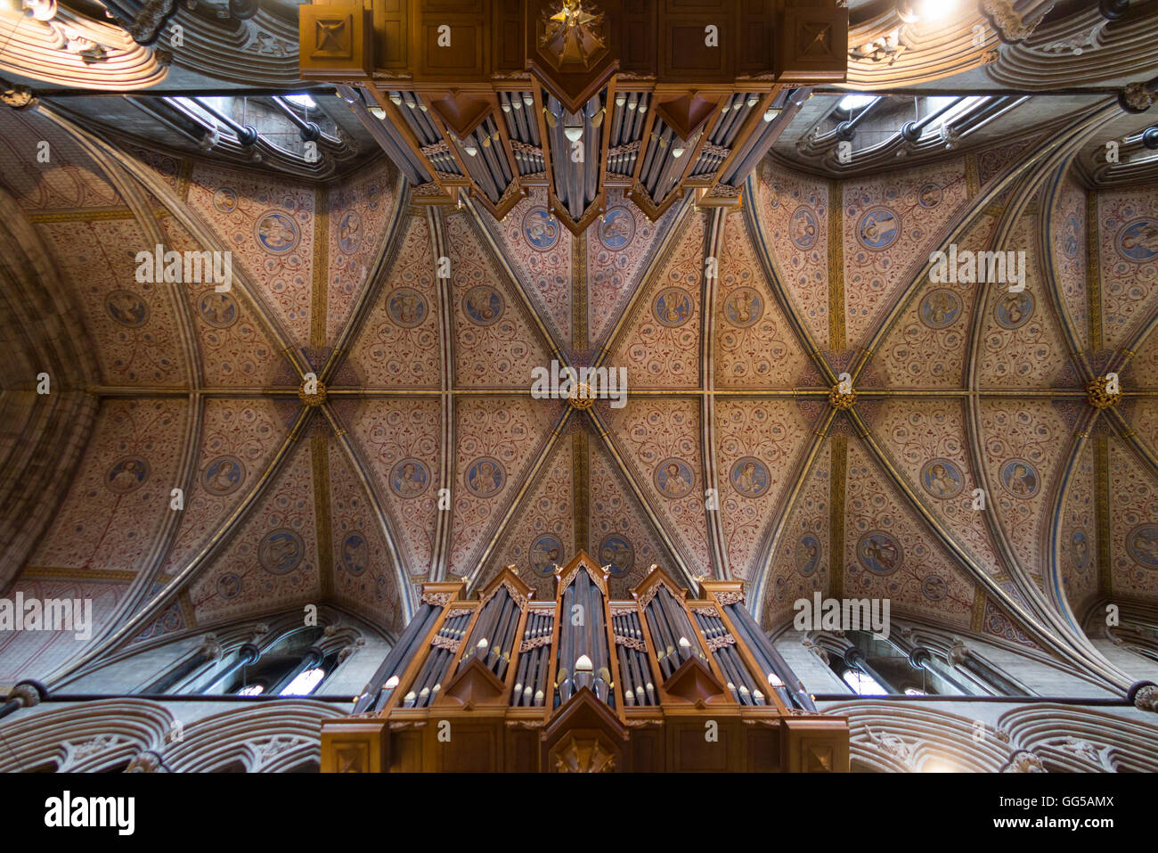 The vaulted ceiling / roof above the Nave in Worcester Cathedral, Worcestershire. UK. Stock Photo