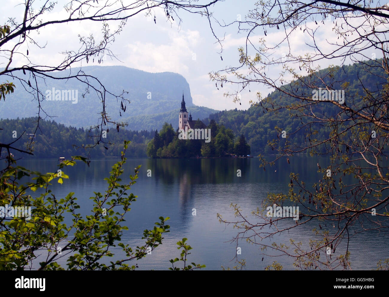 Lake Bled with its Island Church on a calm spring day Stock Photo - Alamy