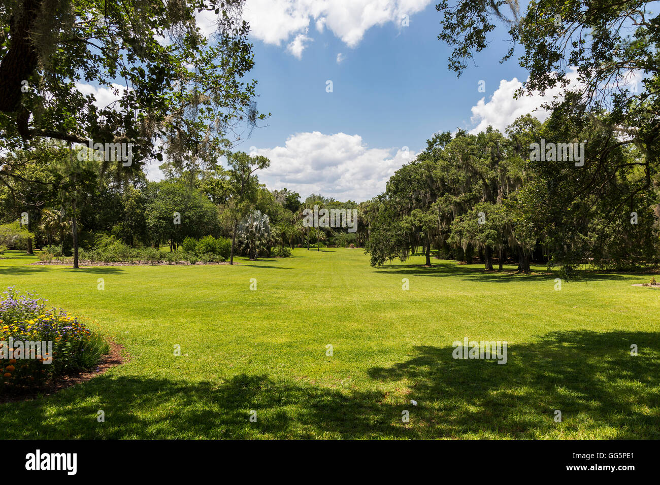 Open green lawn Stock Photo Alamy
