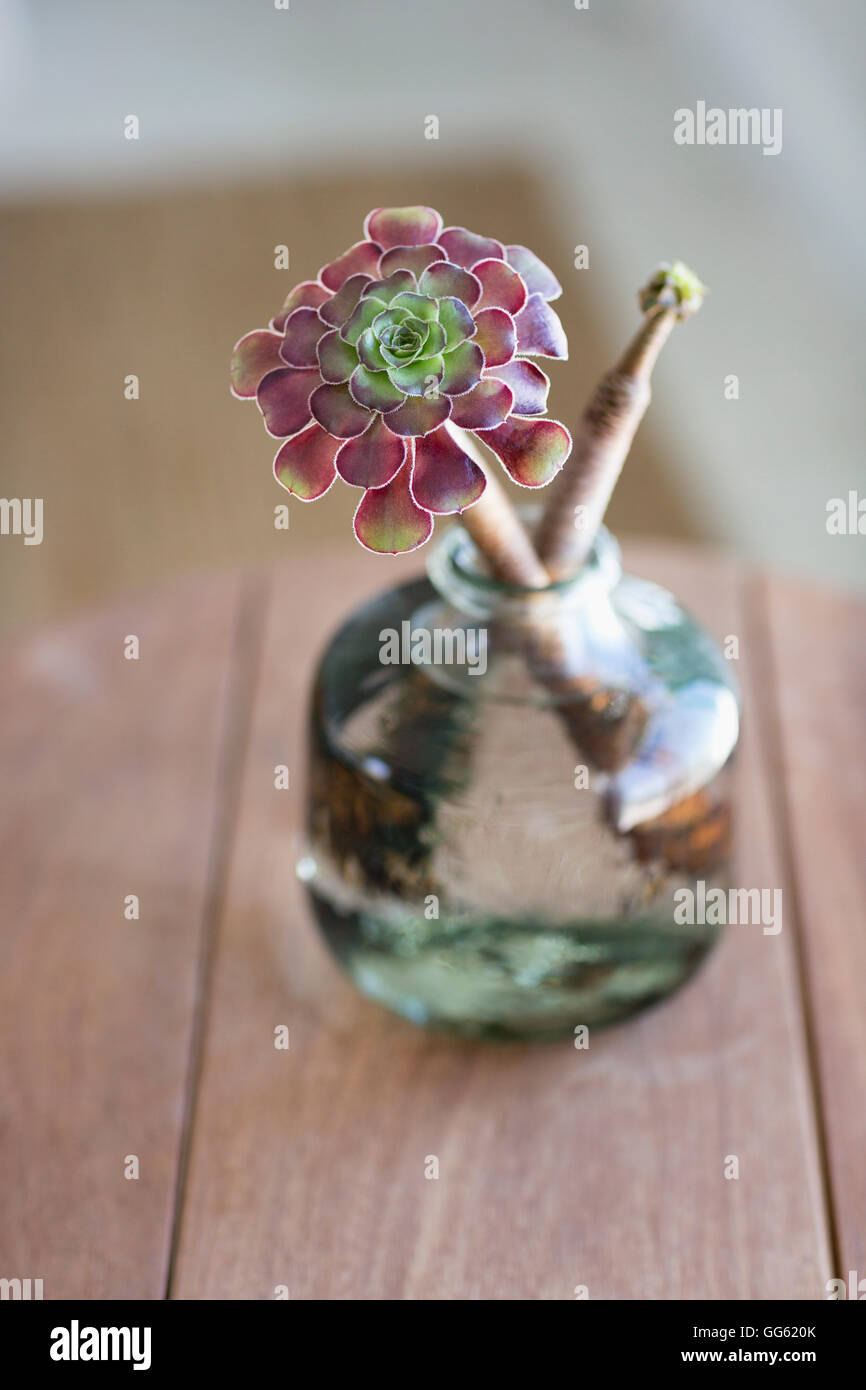 Close-up of a flower vase on a table Stock Photo