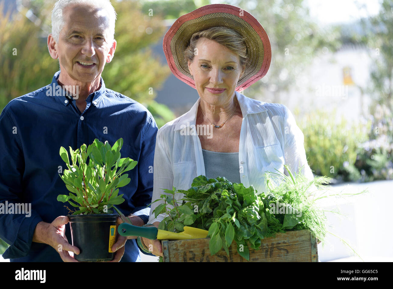 Portrait of a happy senior couple carrying crate of leaf vegetable Stock Photo
