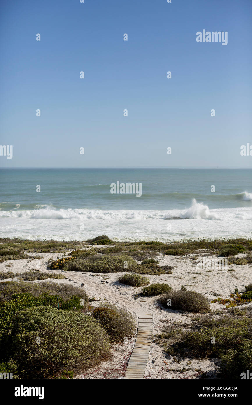 Scenic view of the beach Stock Photo