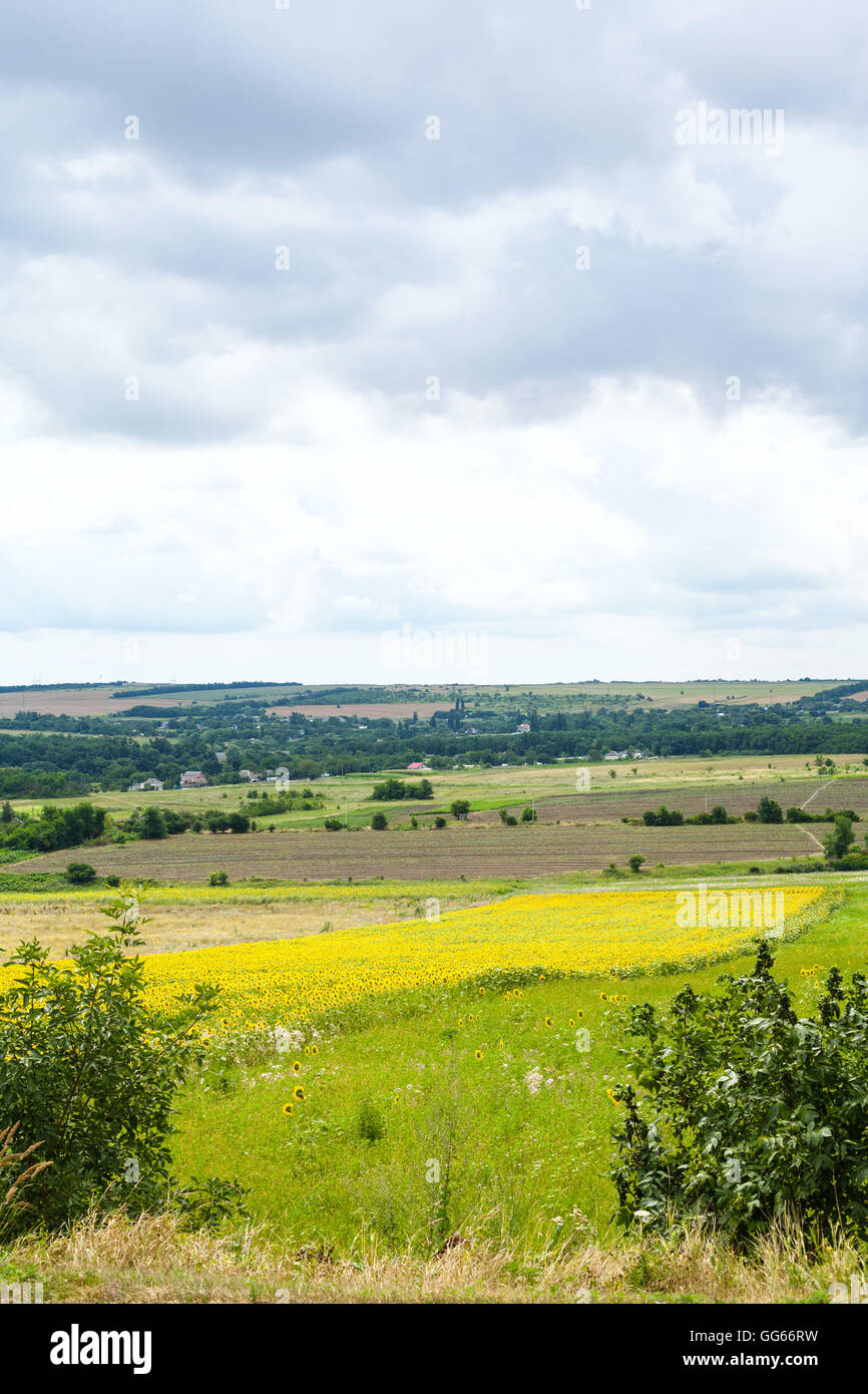 rural landscape with agricultural fields and village, Kuban, Russia Stock Photo