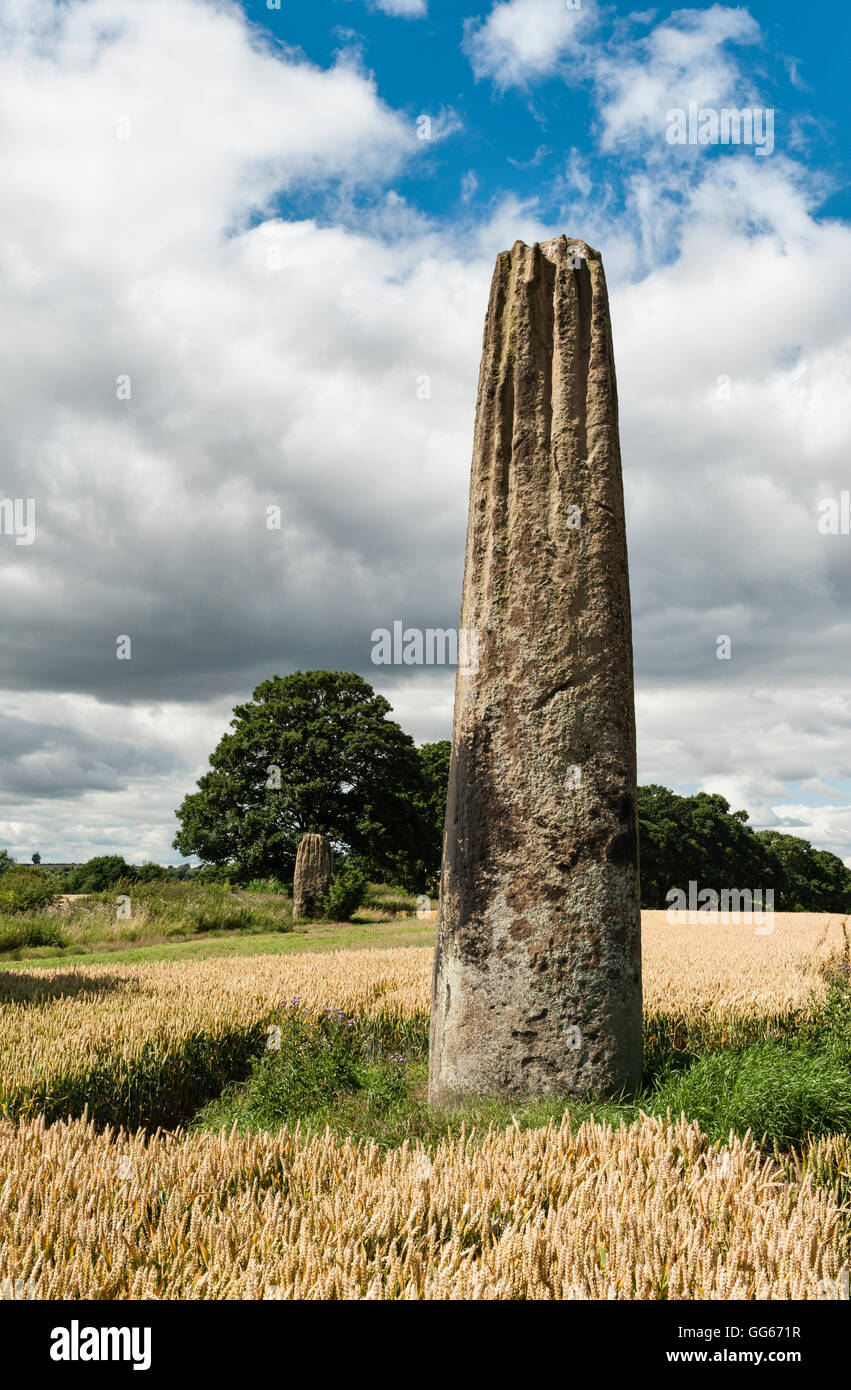 Boroughbridge, North Yorkshire, UK. The Devil's Arrows, an alignment of