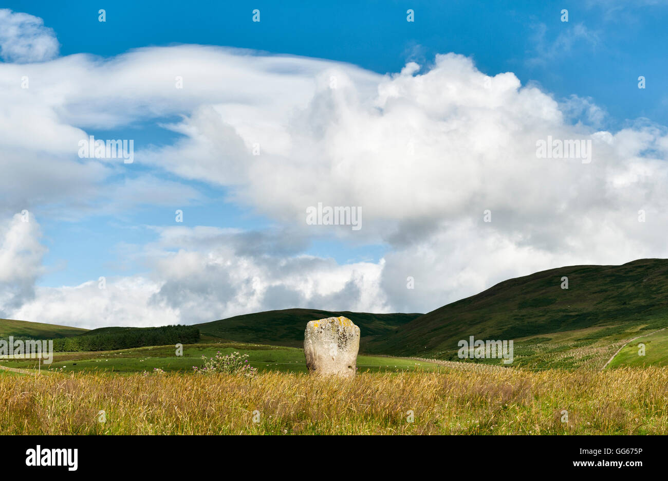 Near Yarrow, Selkirk, on the Scottish Borders. The Glebe Stone, a Bronze Age or Neolithic standing stone (menhir) Stock Photo