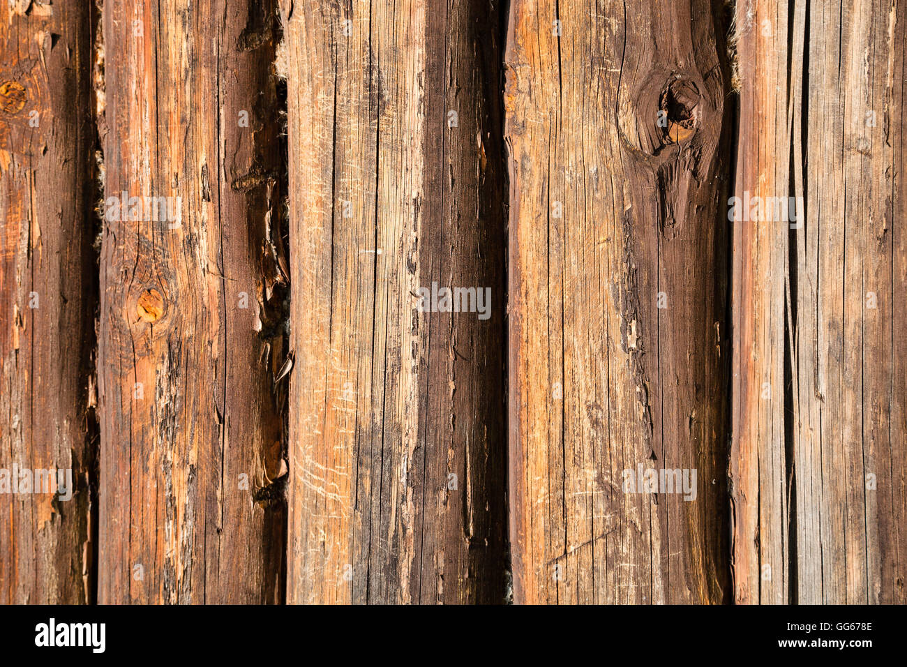 wood texture - old oak trunks of country house wall impregnated by fireproofing Stock Photo