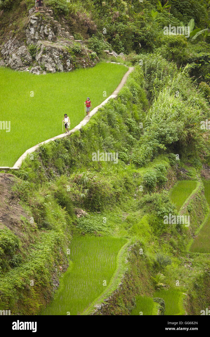Rice Terraces of the Philippine Cordilleras UNESCO World heritage site ...