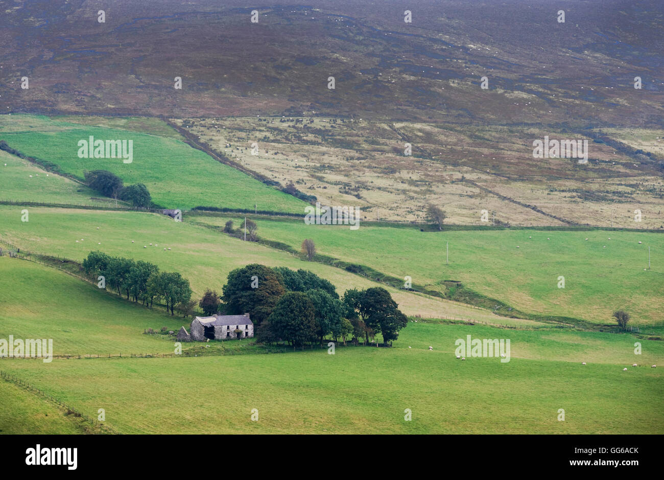 Derelict farmhouse, Glenelly Valley, County Tyrone, Northern Ireland Stock Photo