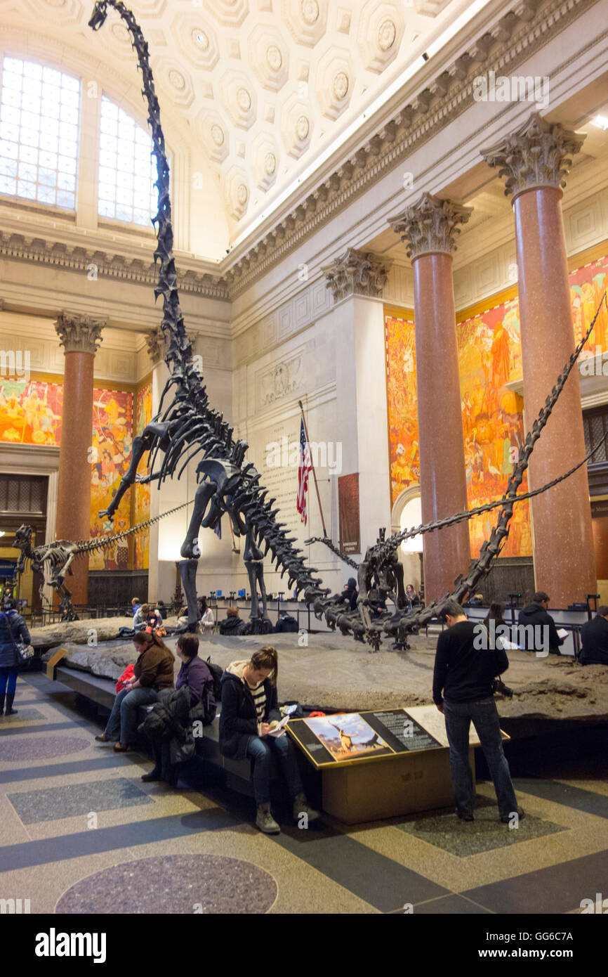 American Museum of Natural History Stock Photo - Alamy