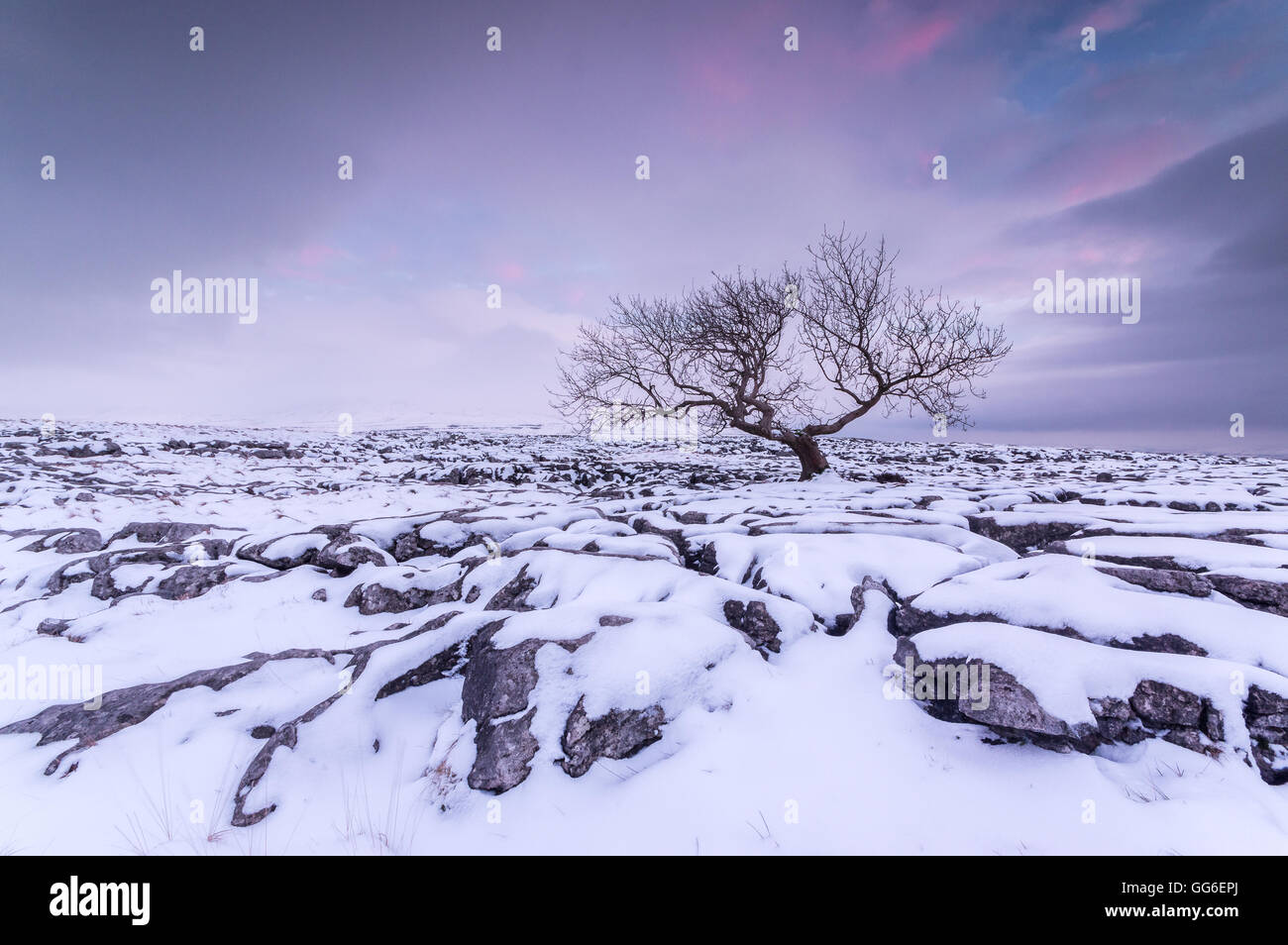 Twistleton Scar End in snow, Ingleton, Yorkshire Dales, Yorkshire, England, United Kingdom, Europe Stock Photo