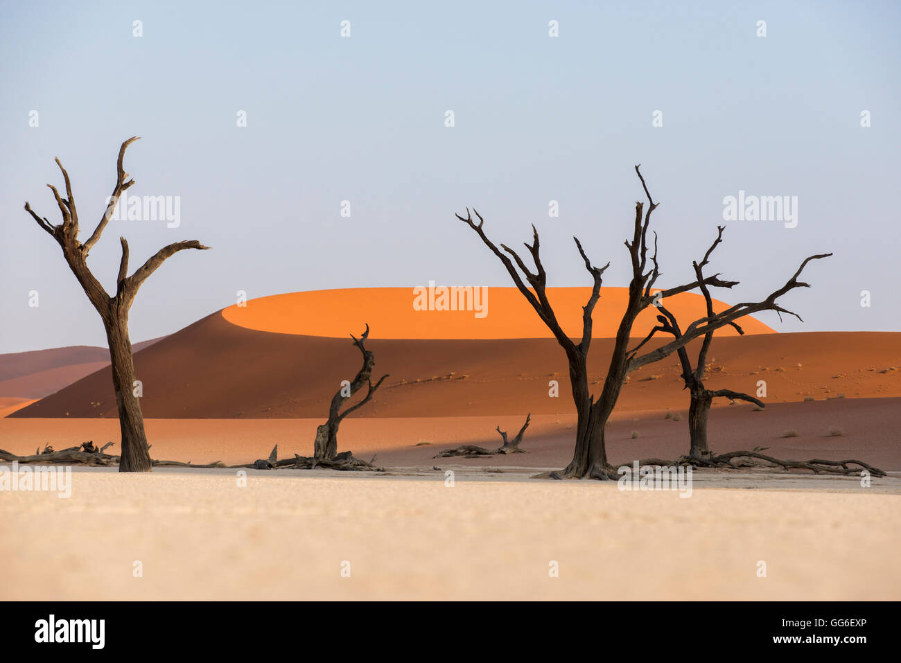 Dead acacia trees silhouetted against sand dunes at Deadvlei, Namib-Naukluft Park, Namibia, Africa Stock Photo