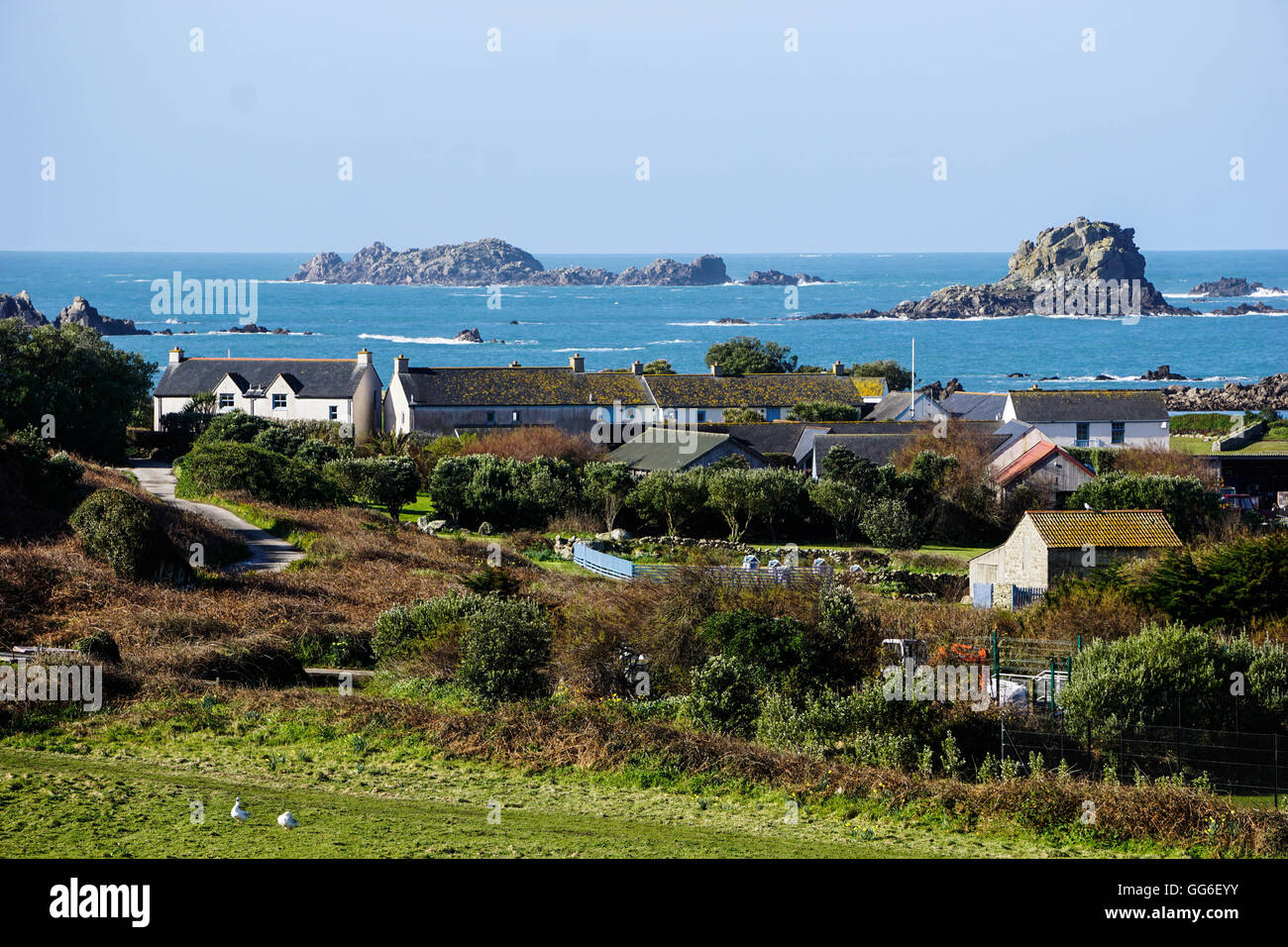 Bryher, Isles of Scilly, England, United Kingdom, Europe Stock Photo