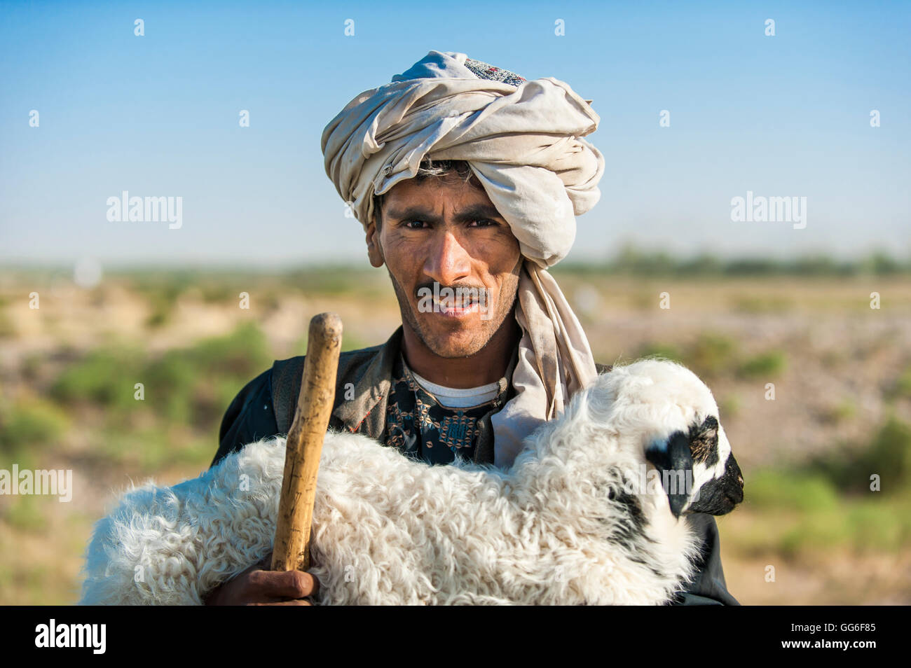A Kuchi shepherd near Herat in Afghanistan returns a lost lamb back to its flock, Afghanistan, Asia Stock Photo