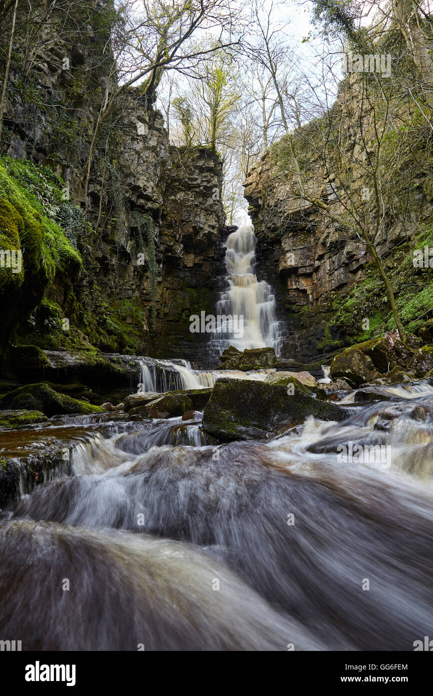 Mill Gill Force waterfall, Askrigg, Wensleydale, North Yorkshire, Yorkshire, England, United Kingdom, Europe Stock Photo