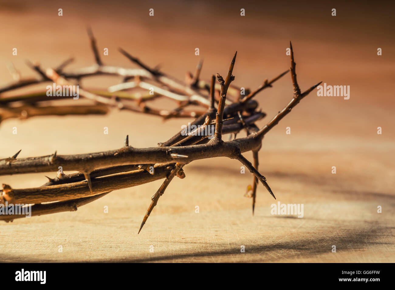 The real crown of thorns hi-res stock photography and images - Alamy