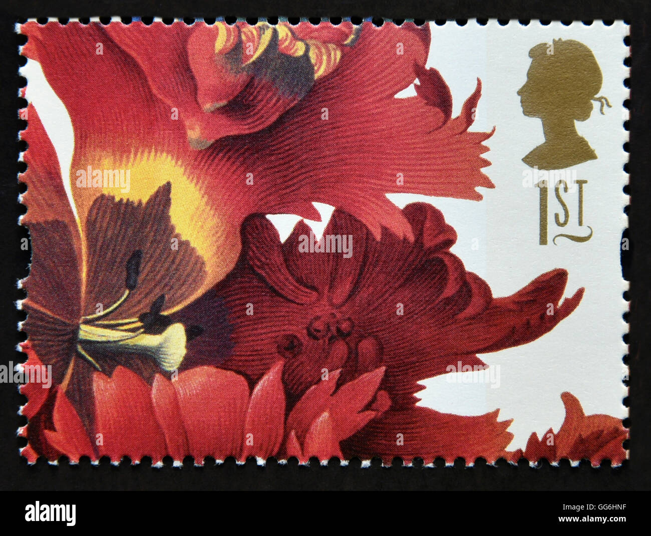 Postage stamp. Great Britain. Queen Elizabeth II. 1997. Greetings Stamps. 19th.Century Flower Paintings. Tulipa gesneriana. 1st. Stock Photo