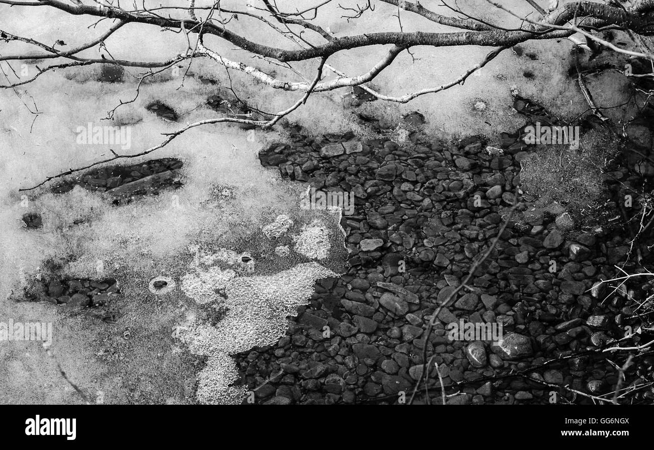 Air bubbles fill the ice along the shore of an Alaskan lake Stock Photo