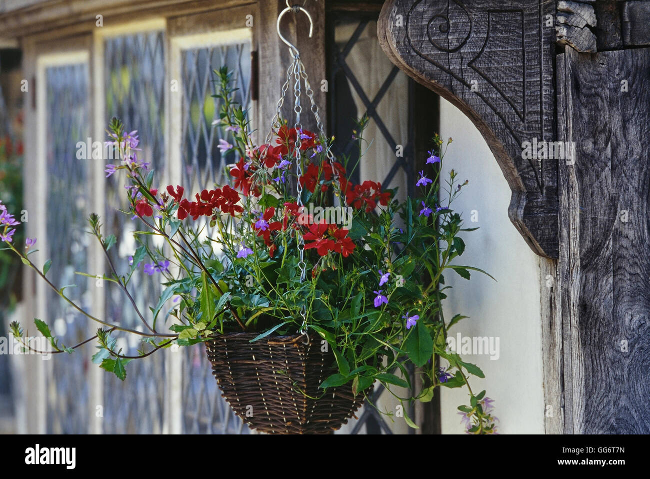 Hanging flower basket. Old town. Hastings. East Sussex. England. UK Stock Photo