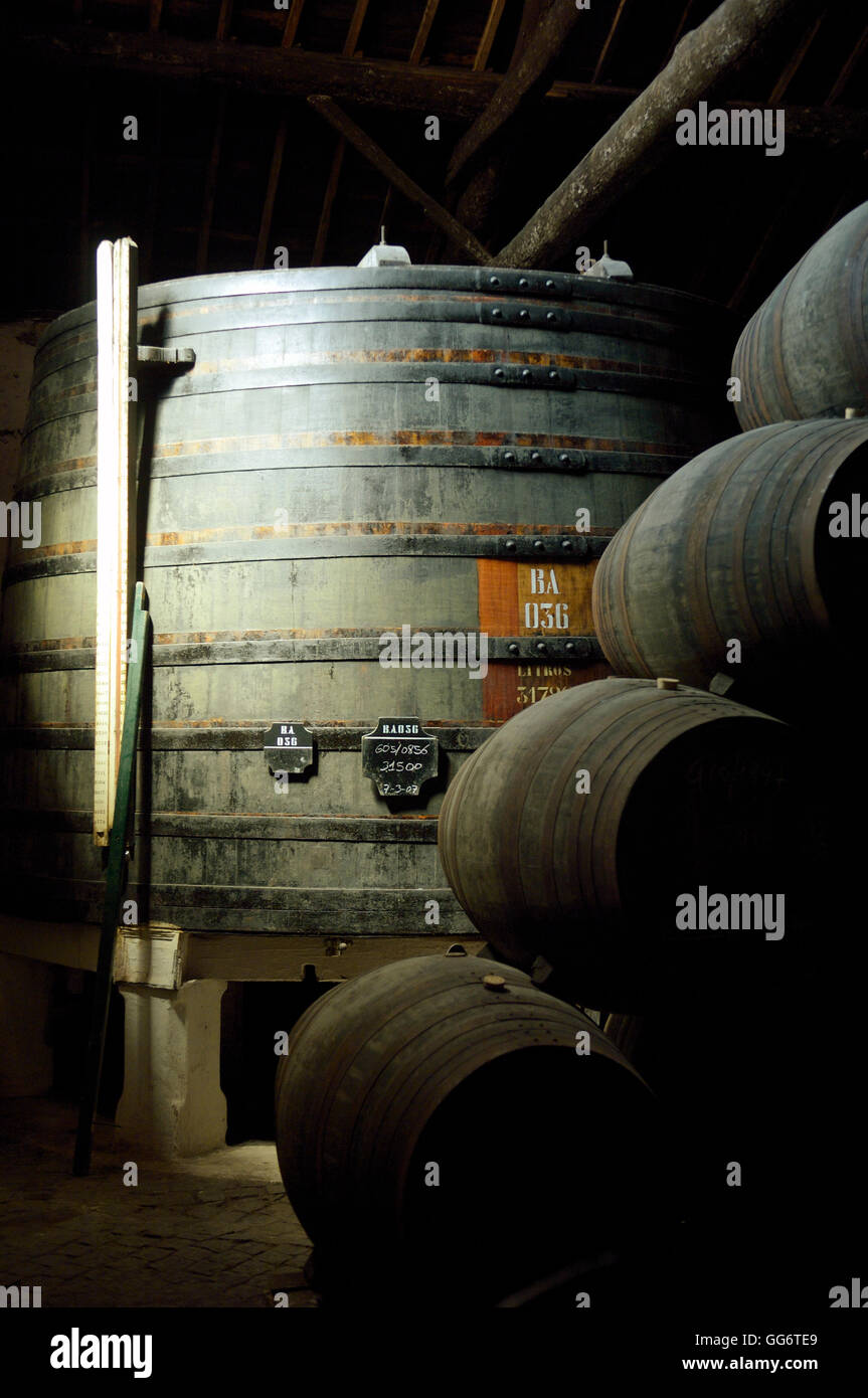 The House of Sandeman cellars, Oporto, Porto. Portugal Stock Photo