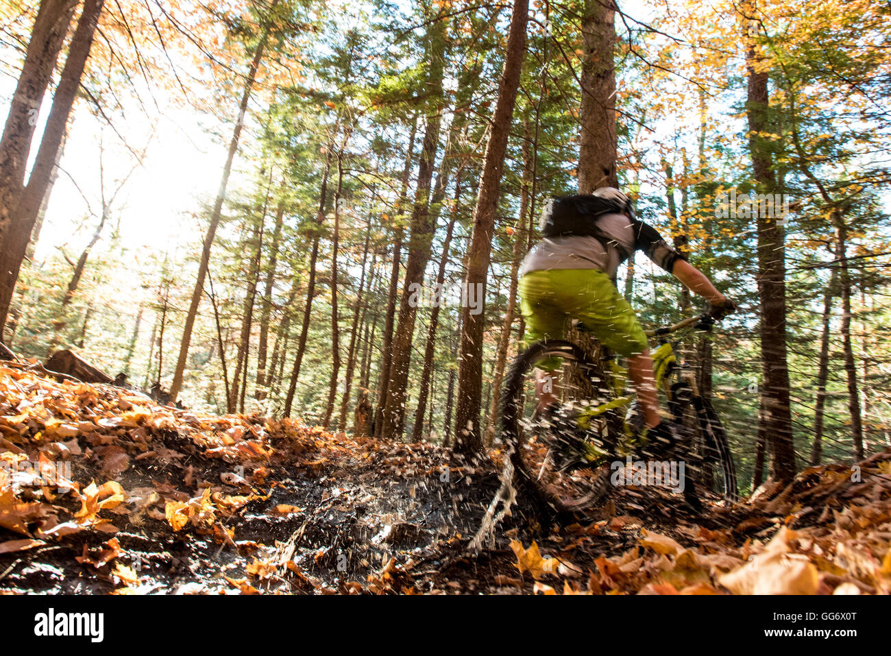 Autumn mountain biking in the WHite Mountains of New Hampshire. Stock Photo