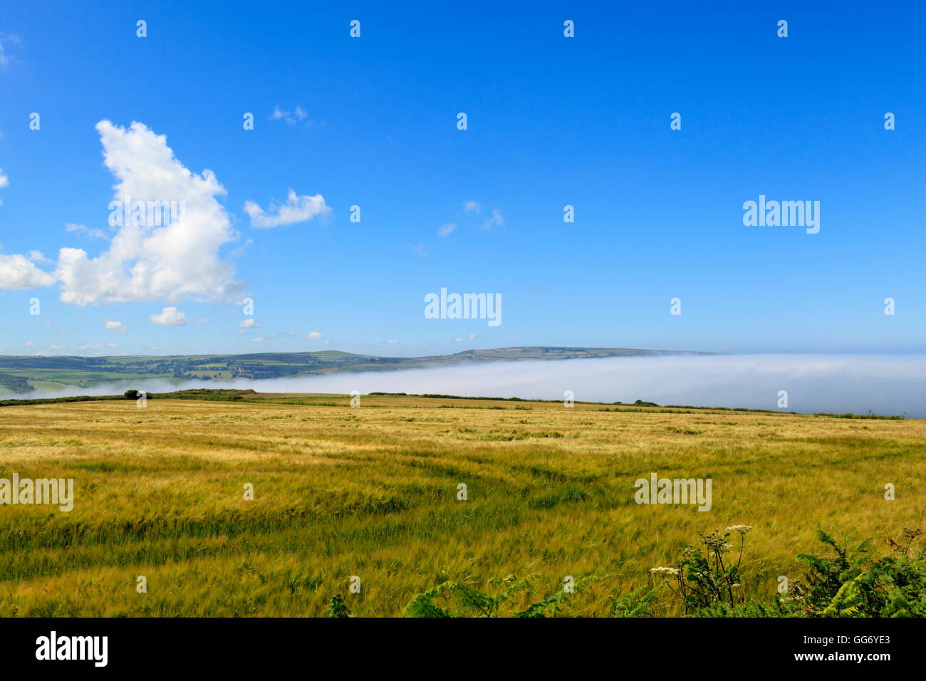 Sea mist rolls in over the Teifi estuary, Gwbert on Sea; Ceredigion Stock Photo Alamy