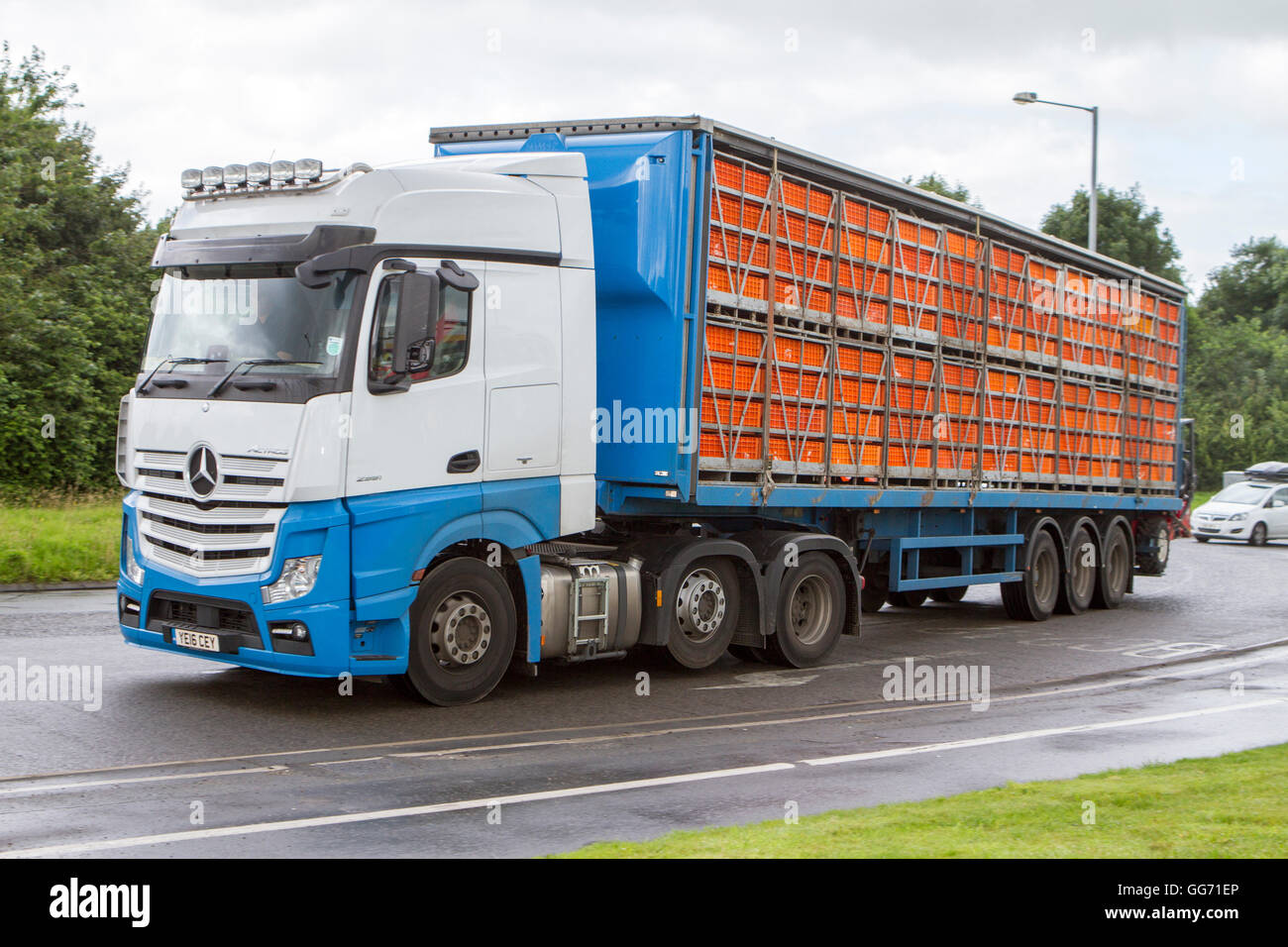 Unmarked lorry transporting caged live chickens, cages and birds. Livestock haulage in Preston, Lancashire, UK Stock Photo