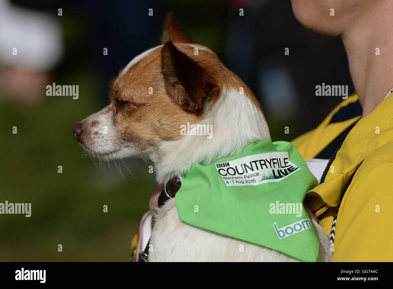 Showbiz Countryfile High Resolution Stock Photography and Images - Alamy