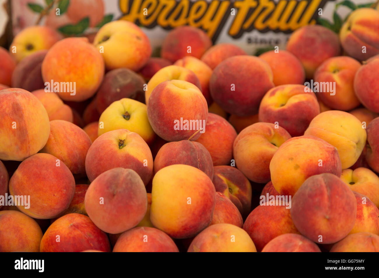 A close up photograph of some peaches for sale in a market in Boston, USA Stock Photo Alamy