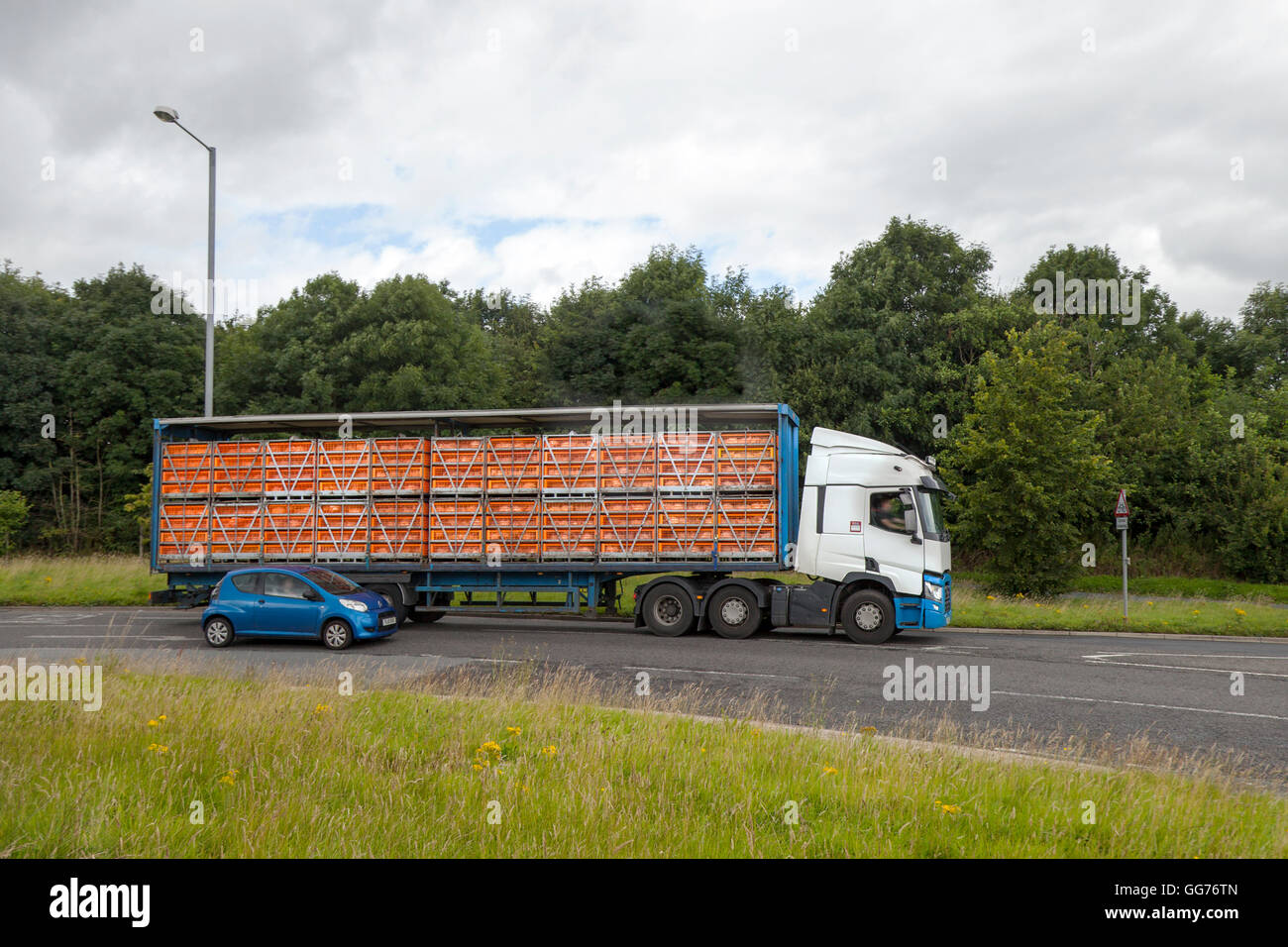 Unmarked lorry transporting chickens, cages and birds, Preston, Lancashire, UK Stock Photo