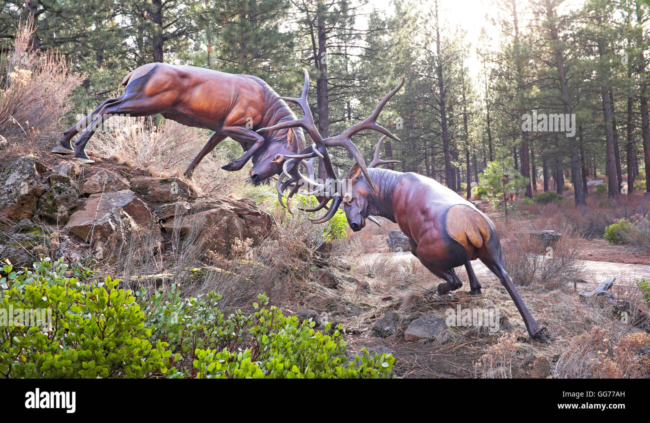 Sculpture of two bull elk battling in rutting season. Stock Photo