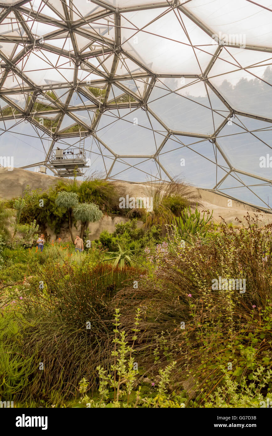 The Mediterranean biome of the Eden project in cornwall england Stock Photo