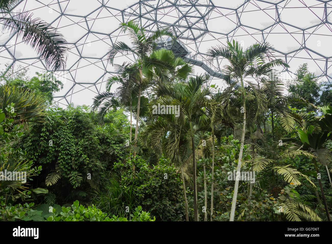 The rainforest biome of the Eden project in cornwall england Stock Photo