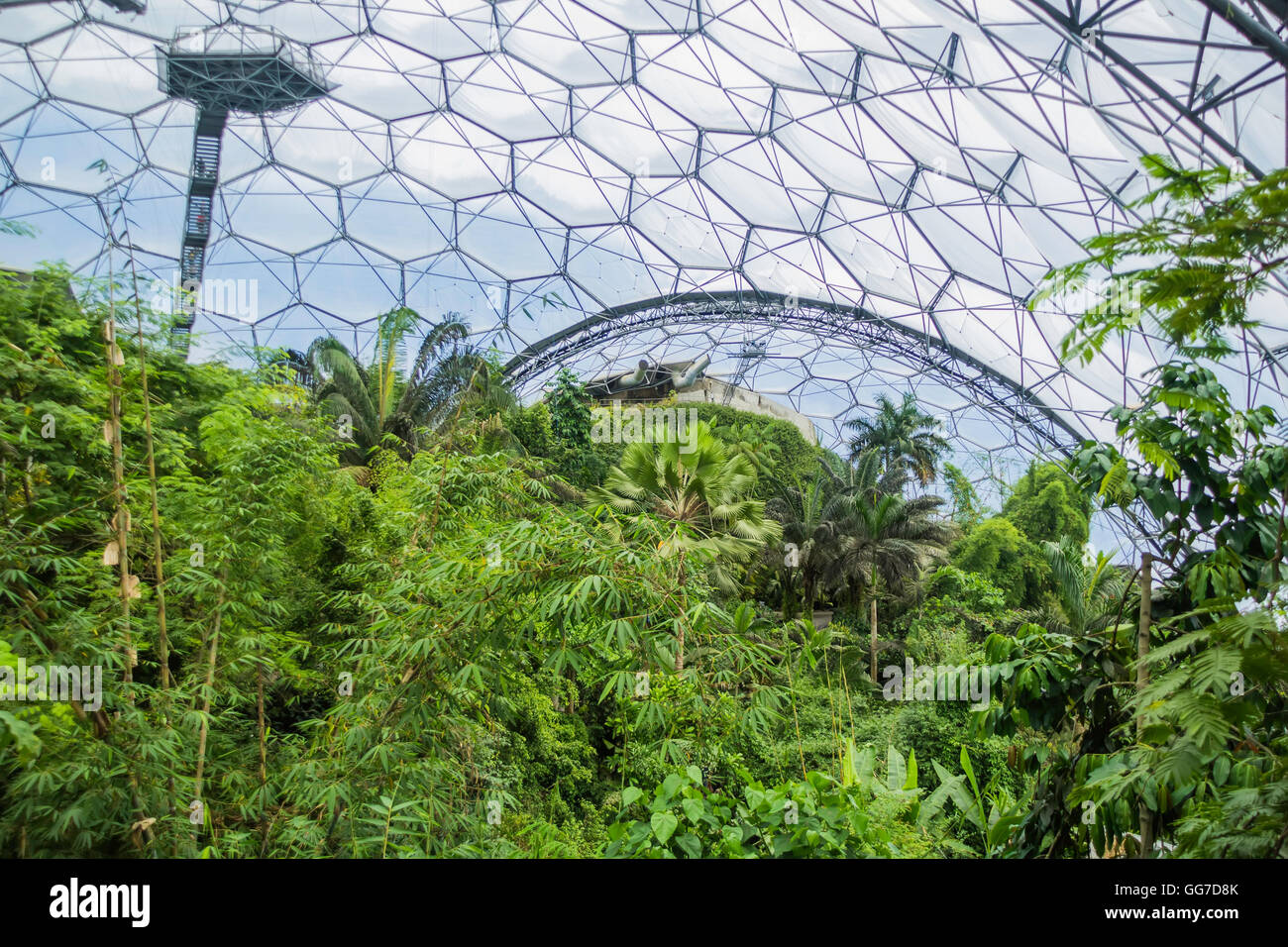 The rainforest biome of the Eden project in cornwall england Stock Photo Alamy
