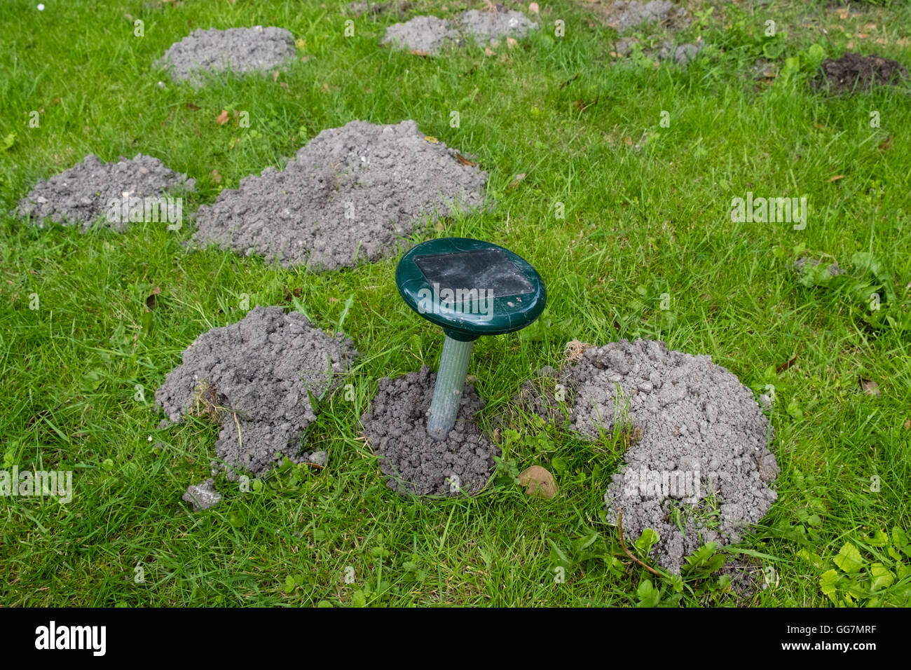 Electronic solar powered noise and vibration device to deter burrowing moles in a garden lawn Stock Photo
