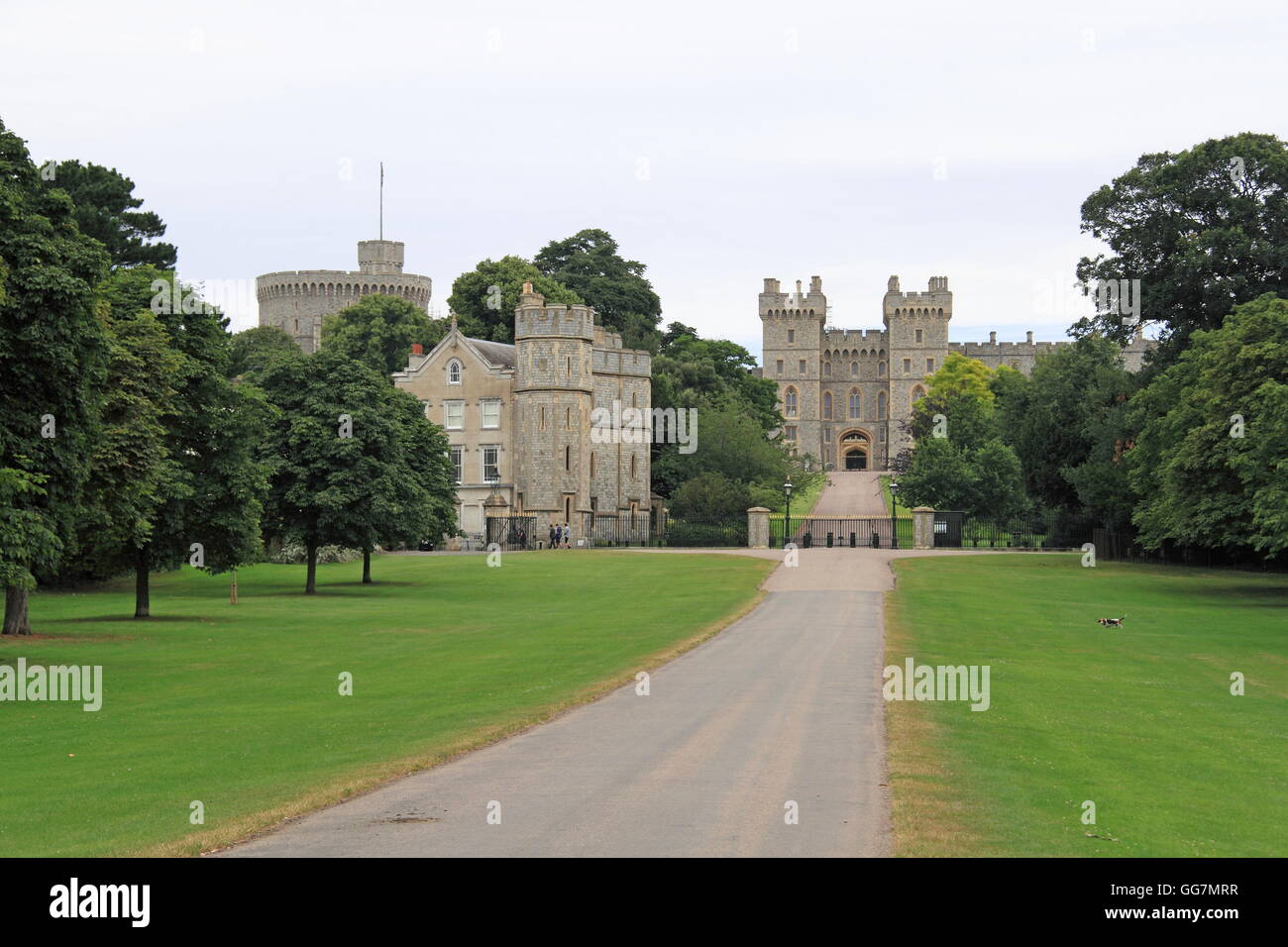 Windsor Castle from the Long Walk, Windsor Great Park, Berkshire, England, Great Britain, United Kingdom, UK, Europe Stock Photo