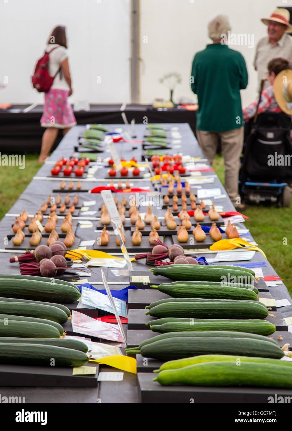 Vegetable show at New Forest Show, Hampshire, England Stock Photo