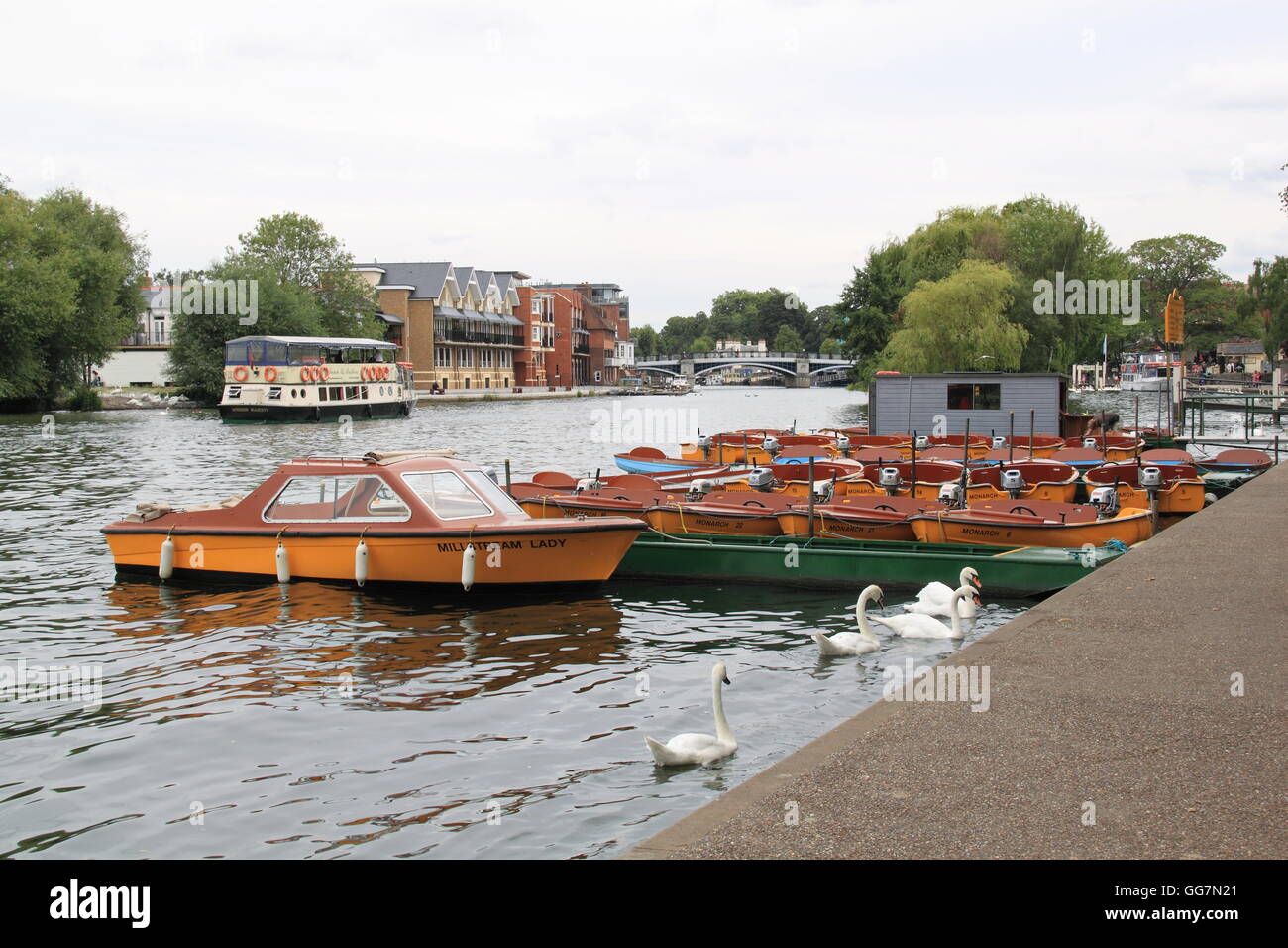 Hire boats at Windsor riverside, Berkshire, England, Great Britain