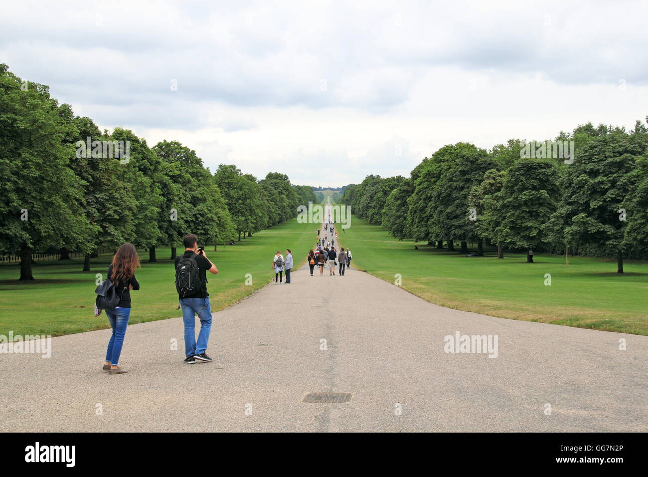 The Long Walk from Windsor Castle, Windsor Great Park, Berkshire