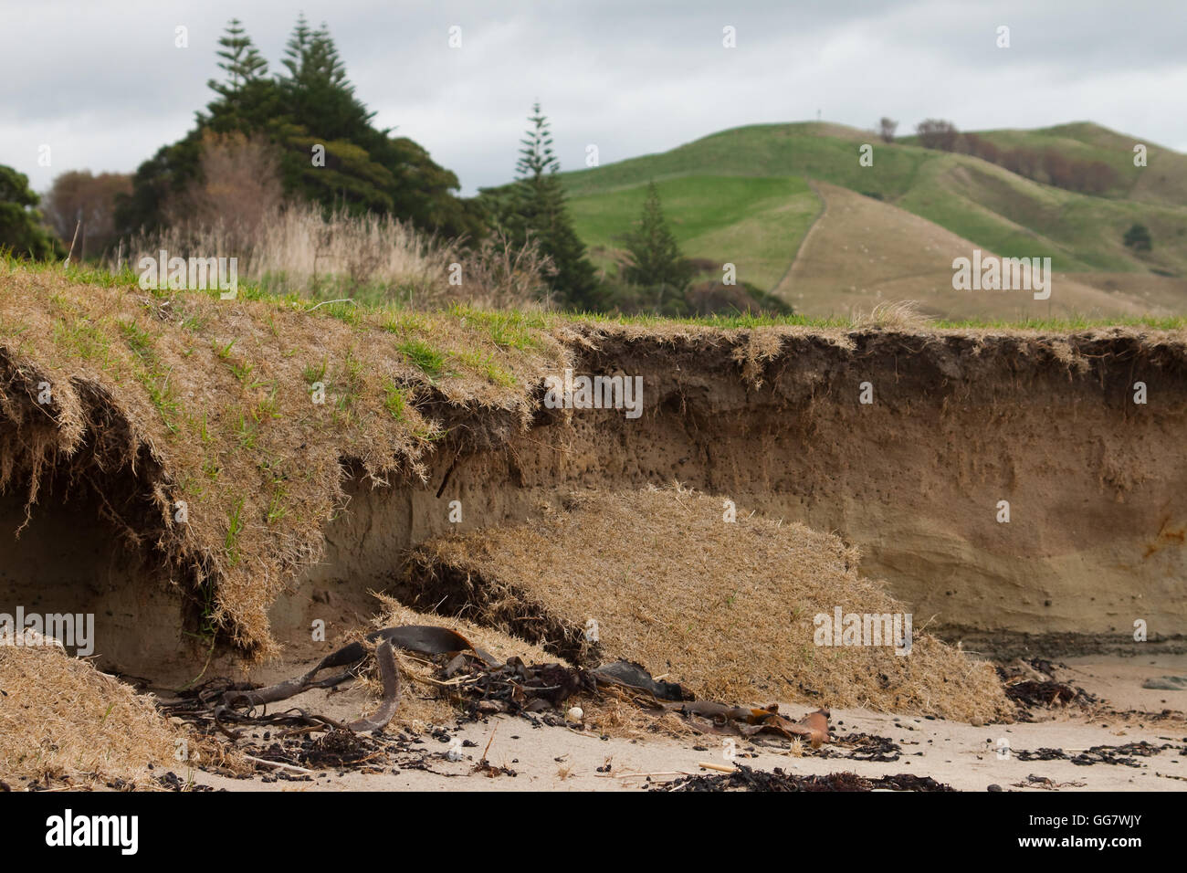 Unedited true life image of coastal erosion Gisborne, New Zealand Stock