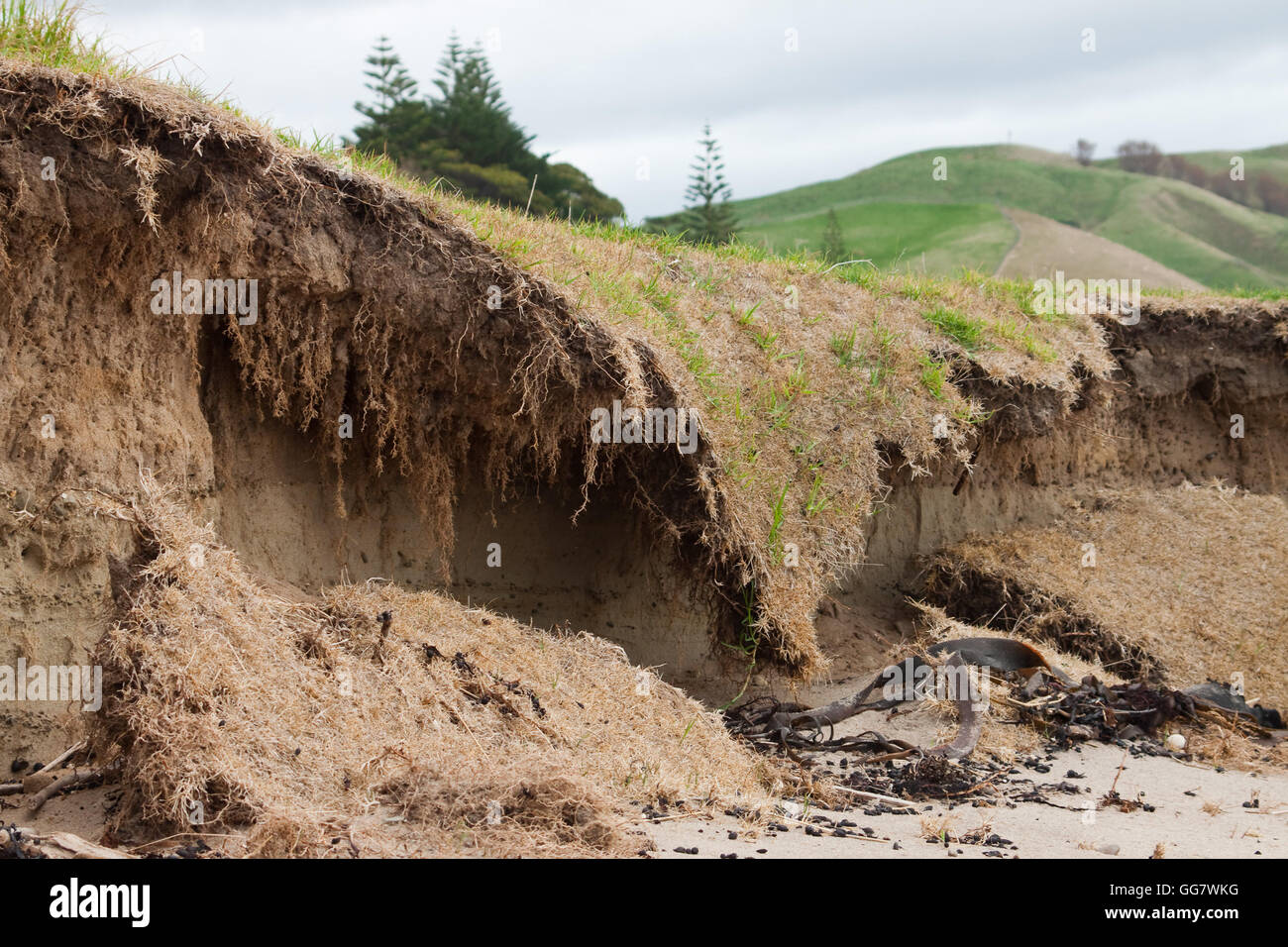 Unedited true life image of coastal erosion Gisborne, New Zealand Stock