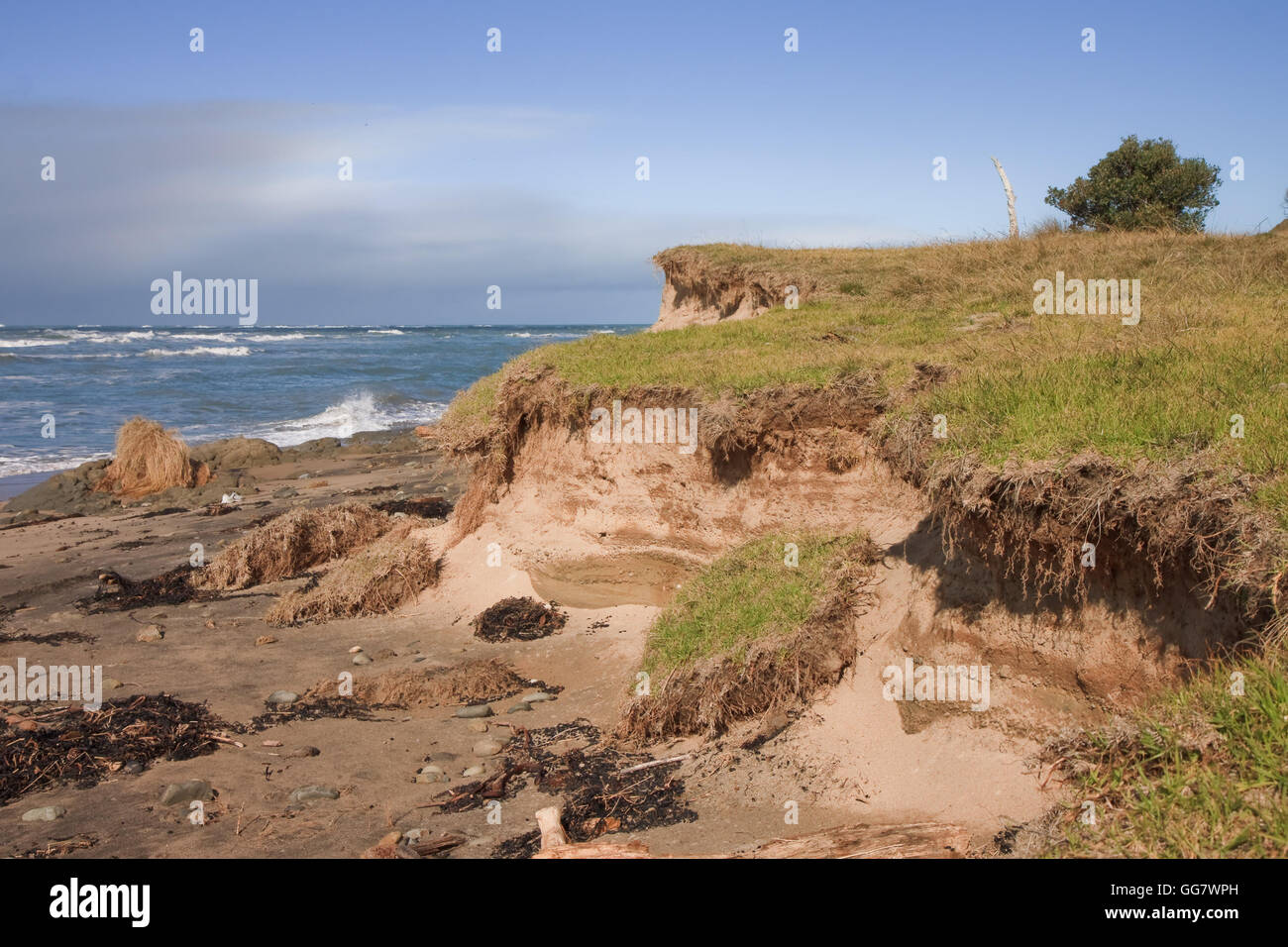 Unedited true life image of coastal erosion Gisborne, New Zealand Stock