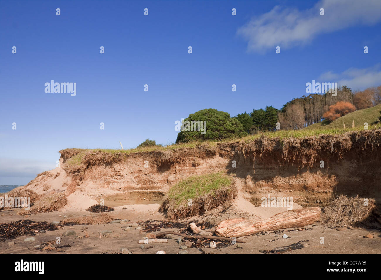 Unedited true life image of coastal erosion Gisborne, New Zealand Stock
