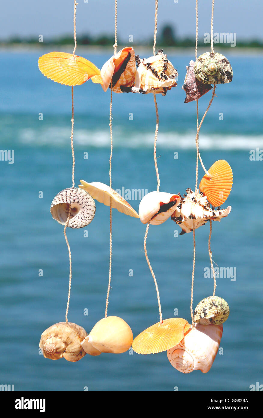 Sea and ocean small shells. Dried starfish can be used as decorations,  ornaments, or jewelry. They can also be used in crafts such as wreaths,  wall Stock Photo - Alamy